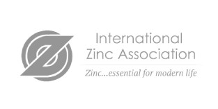INTERNATIONAL ZINC ASSOCIATION – AFRICA DESK